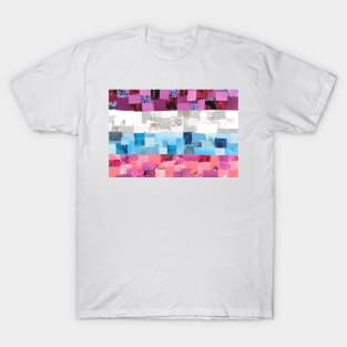 Multisexual Pride Flag T-Shirt